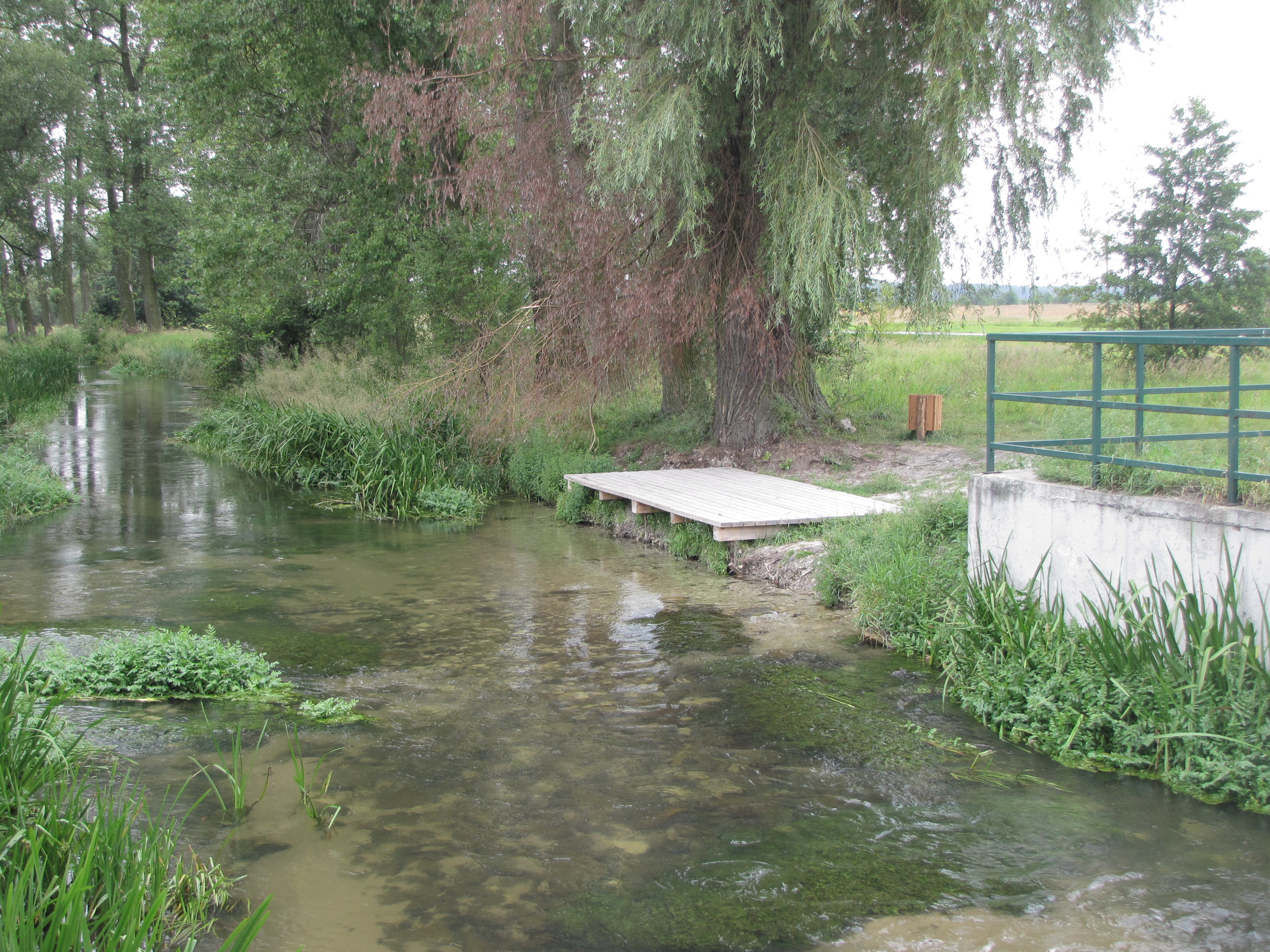 Fotografia przedstawia koryto rzeki Wiercicy w miejscowości Przyrów